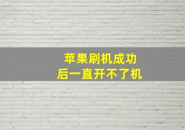 苹果刷机成功后一直开不了机