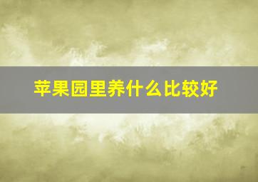 苹果园里养什么比较好