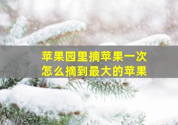 苹果园里摘苹果一次怎么摘到最大的苹果