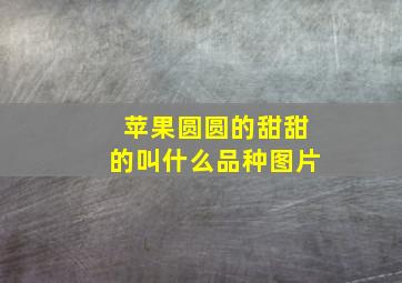 苹果圆圆的甜甜的叫什么品种图片