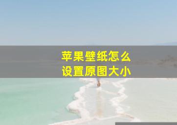 苹果壁纸怎么设置原图大小