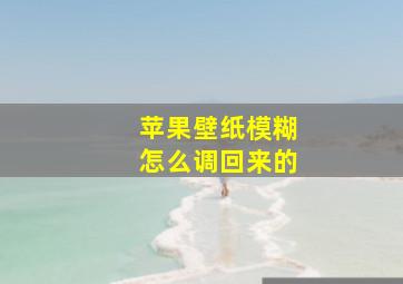 苹果壁纸模糊怎么调回来的