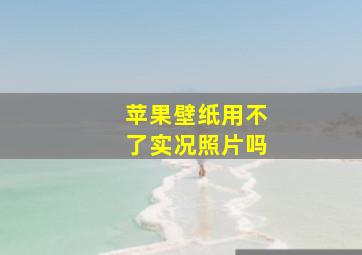 苹果壁纸用不了实况照片吗