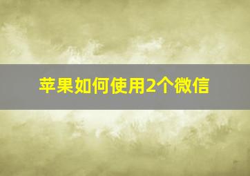 苹果如何使用2个微信