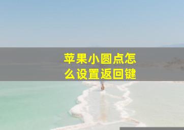 苹果小圆点怎么设置返回键