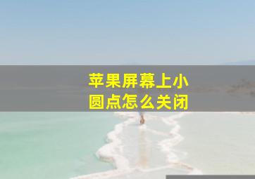 苹果屏幕上小圆点怎么关闭