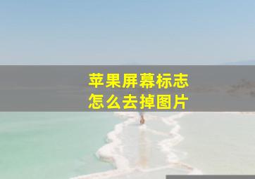 苹果屏幕标志怎么去掉图片