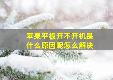 苹果平板开不开机是什么原因呢怎么解决