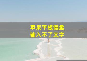 苹果平板键盘输入不了文字