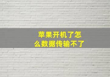 苹果开机了怎么数据传输不了