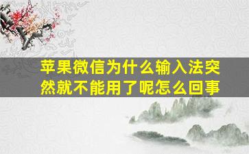 苹果微信为什么输入法突然就不能用了呢怎么回事