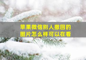 苹果微信别人撤回的图片怎么样可以在看