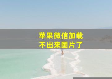 苹果微信加载不出来图片了