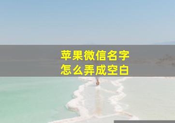 苹果微信名字怎么弄成空白