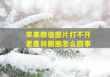 苹果微信图片打不开老是转圈圈怎么回事