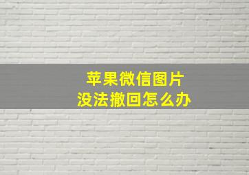 苹果微信图片没法撤回怎么办