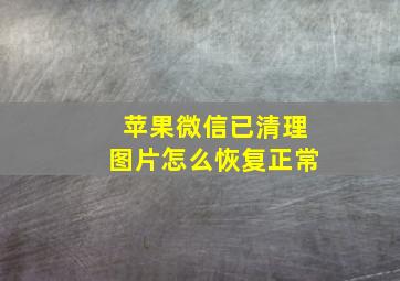 苹果微信已清理图片怎么恢复正常