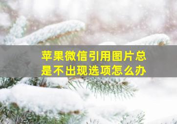 苹果微信引用图片总是不出现选项怎么办