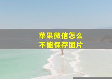 苹果微信怎么不能保存图片