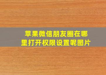 苹果微信朋友圈在哪里打开权限设置呢图片