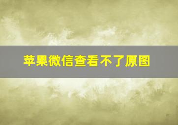 苹果微信查看不了原图