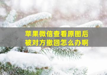 苹果微信查看原图后被对方撤回怎么办啊