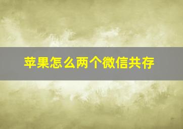 苹果怎么两个微信共存