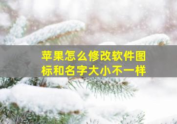 苹果怎么修改软件图标和名字大小不一样