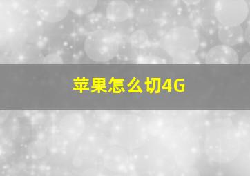 苹果怎么切4G