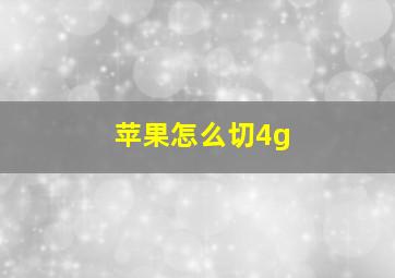 苹果怎么切4g