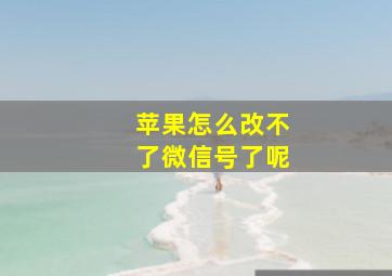 苹果怎么改不了微信号了呢