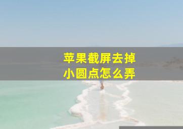 苹果截屏去掉小圆点怎么弄