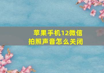 苹果手机12微信拍照声音怎么关闭