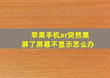 苹果手机xr突然黑屏了屏幕不显示怎么办