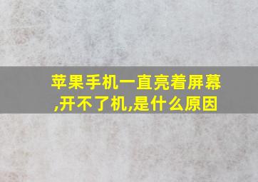 苹果手机一直亮着屏幕,开不了机,是什么原因