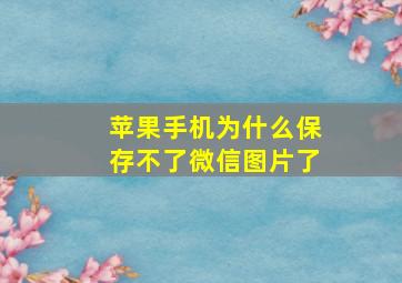 苹果手机为什么保存不了微信图片了