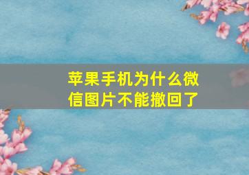 苹果手机为什么微信图片不能撤回了