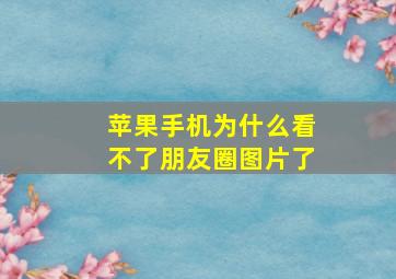 苹果手机为什么看不了朋友圈图片了