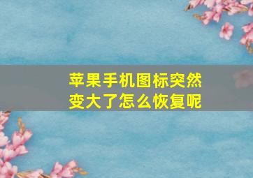 苹果手机图标突然变大了怎么恢复呢