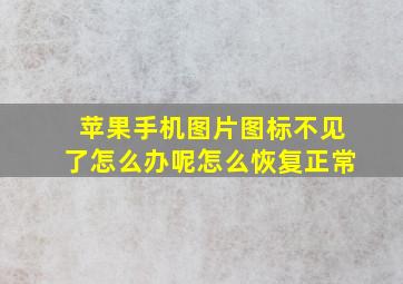 苹果手机图片图标不见了怎么办呢怎么恢复正常