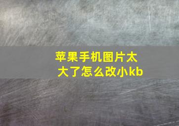 苹果手机图片太大了怎么改小kb