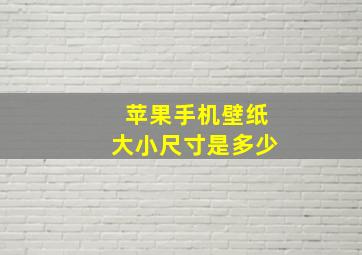 苹果手机壁纸大小尺寸是多少