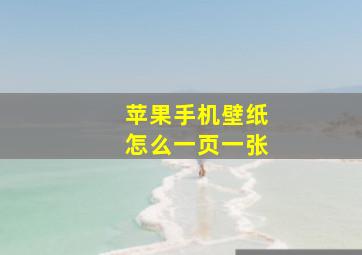 苹果手机壁纸怎么一页一张