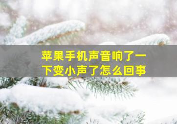 苹果手机声音响了一下变小声了怎么回事