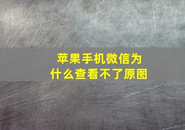 苹果手机微信为什么查看不了原图