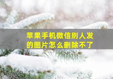 苹果手机微信别人发的图片怎么删除不了