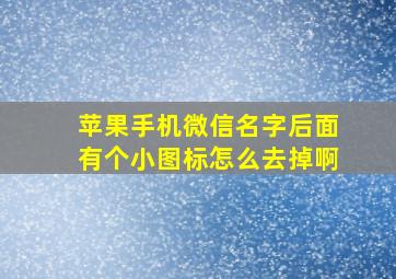 苹果手机微信名字后面有个小图标怎么去掉啊