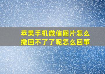 苹果手机微信图片怎么撤回不了了呢怎么回事