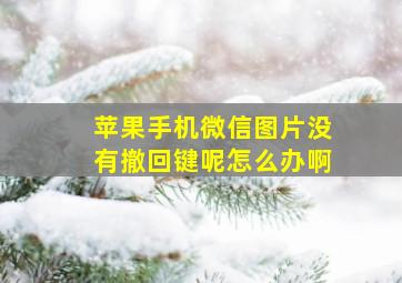 苹果手机微信图片没有撤回键呢怎么办啊