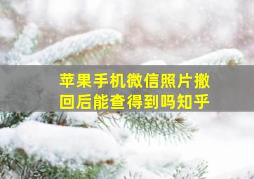 苹果手机微信照片撤回后能查得到吗知乎